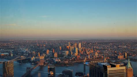 Psychologists and Psychiatrists in NYC | Williamsburg Therapy Group