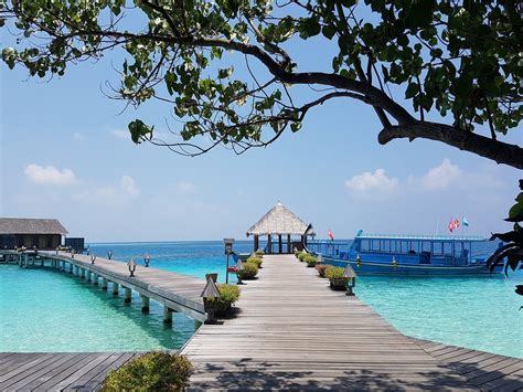 Gangehi Island Resort & Spa Massage: Pictures & Reviews - Tripadvisor