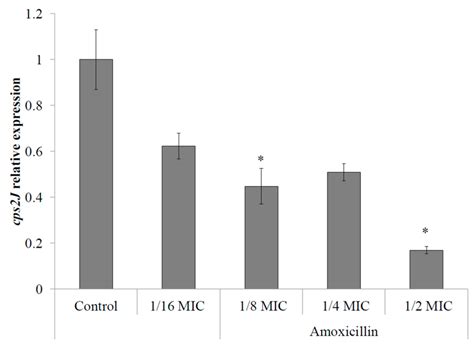 Pathogens | Special Issue : Streptococcus suis