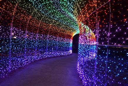 Image result for LED and Buzzer Arduino Simulation