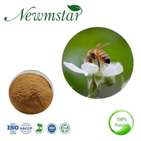 2022 Wholesale Lemon Balm Extract Melissa Extract Plant Extract with Cheapest Price & Top Quality