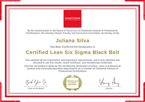 Certified Lean Six Sigma Black Belt | Chartered Institute of ...