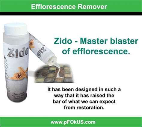 Image result for Efflorescence Repair