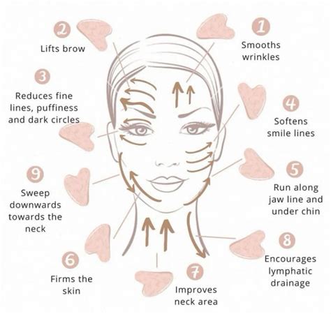 Best 13 How to Do Lymphatic Drainage Massage on Your Face for Better Skin – Artofit