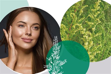 Image result for Dermal Matrix Application