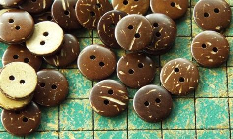 Image result for Coconut Shell Buttons