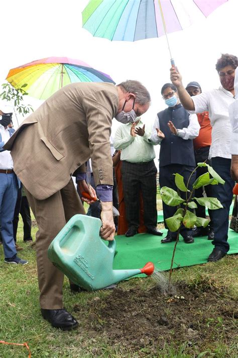 CFlo launches its Carbon Offset Program | CFlo