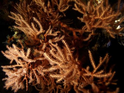DIVE ACADEMY FIJI (2026) All You Need to Know BEFORE You Go (with ...