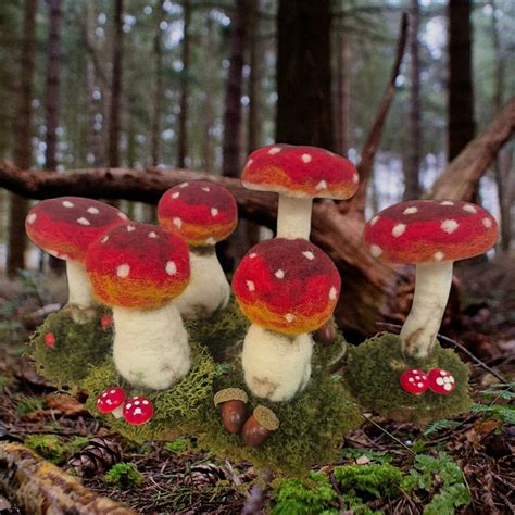 Needle Felting Mushrooms with Charlottes Crafty Corner, Creative Ewe ...