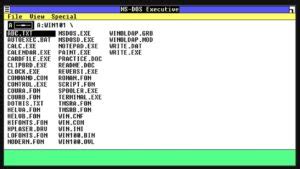 Image result for Windows 1.0 Debug Command