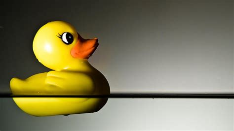 Image result for Example 1 Object That Float