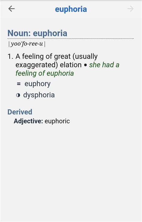 Give the meaning of: a) euphoria b)serendipity c)singularity d)epiphany ...