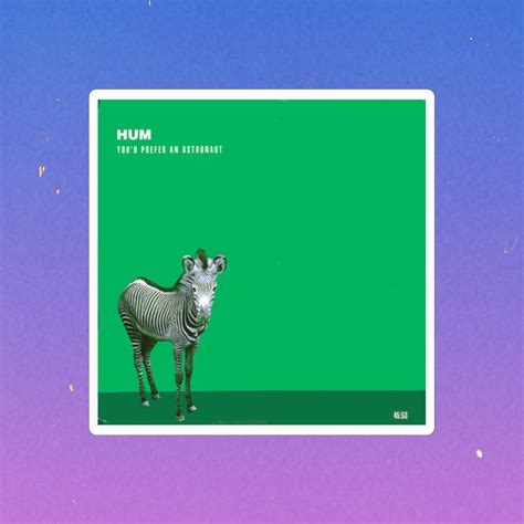 Image result for Hum Band Merchandise