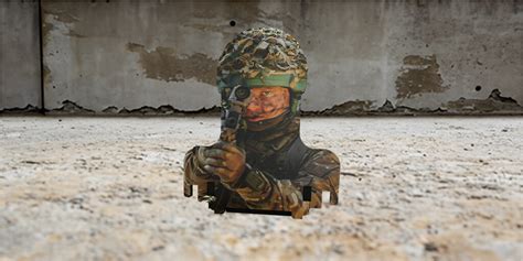 Image result for Gun Target Field