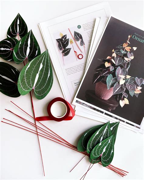 Image result for Paper Plant Tutorial