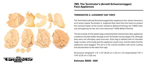 Image result for Terminator Inflatable