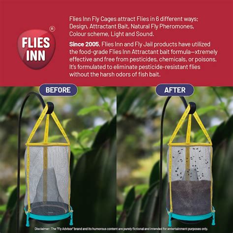 FLIES INN Outdoor Insect Trap (13-Pack) FLEZ1AB10 at Lowes.com