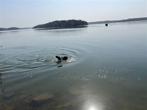 MPT SAILANI ISLAND RESORT (Khandwa) - Specialty Resort Reviews, Photos ...