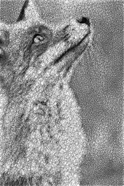 Single Line Drawing Algorithm 的图像结果