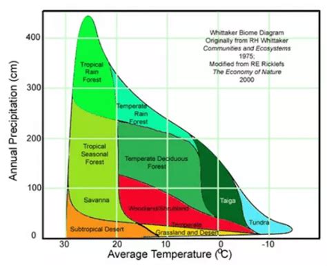 Major Biomes, Definition, Classification, Types, Facts