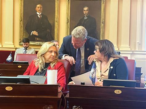 Virginia Senate approves mid-decade redistricting amendment in party ...