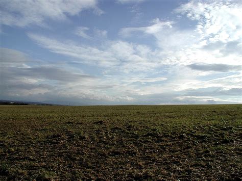 Field 图片 的图像结果