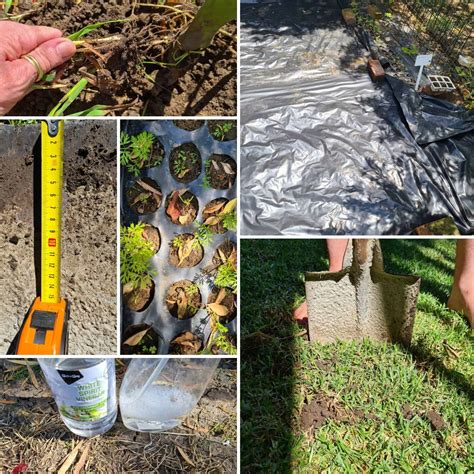 How to Permanently Remove Grass from Your Garden and Flower Beds