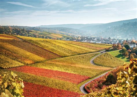 STIHL Annual Report 2020