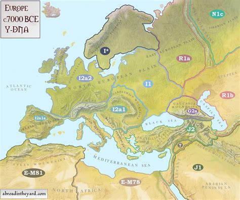 Y-DNA Map of Europe and Surrounding Areas in c.7000 BCE | Europe map, Map, Europe