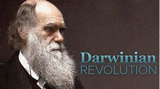 Image result for Darwinian