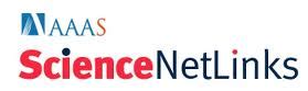 Science NetLinks 的图像结果