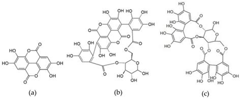 Fractionation of Extracts from Black Chokeberry, Cranberry, and ...
