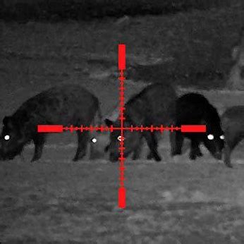 Image result for Wraith Scope