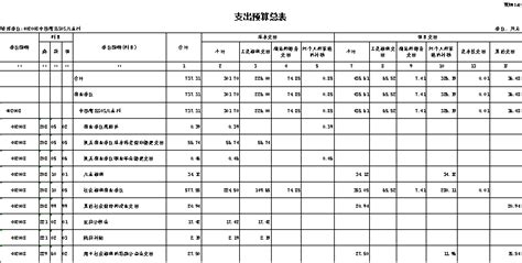 关于南昌县2019年全县和县级预算执行情况与2020年全县和县级预算草案的报告_审查