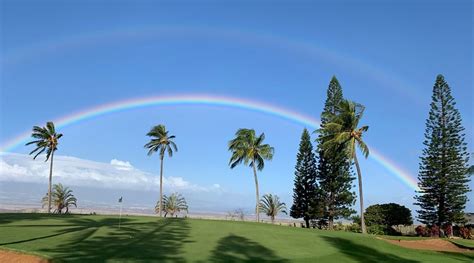 HULA INN (Pukalani) - Inn Reviews & Photos - Tripadvisor