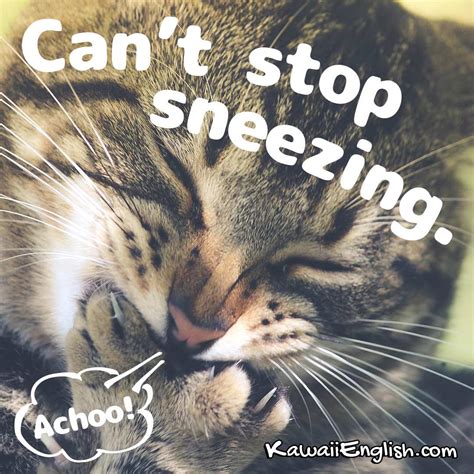 Can’t stop sneezing. | Kawaii English
