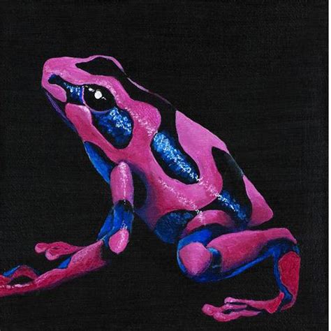 Pink Poison Dart Frog Facts The poison dart frog is a species of ...
