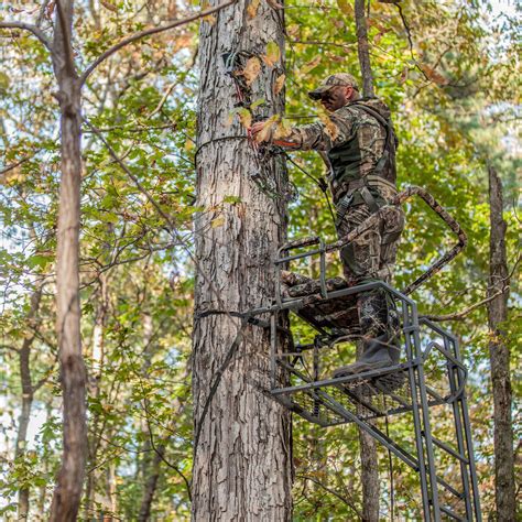Image result for Shortest Ladder Tree Stands
