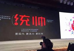 Image result for 统帅