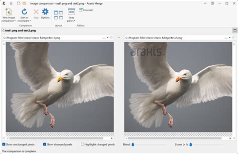 Comparing Files 的图像结果