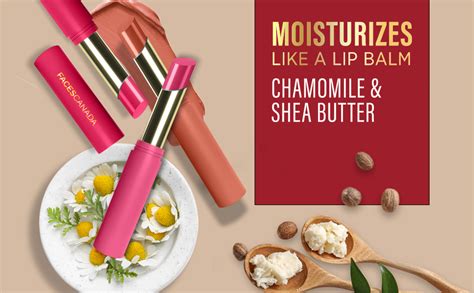 Buy FACESCANADA Long Stay 3-in-1 Matte Lipstick - Notice Me Pink 06, 2g ...