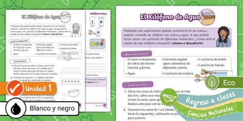 Experimento El Xilófono de Agua