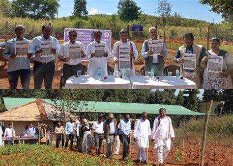 Central University of Odisha