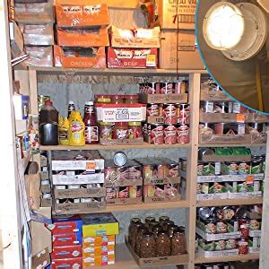 Prepper Essentials 的图像结果