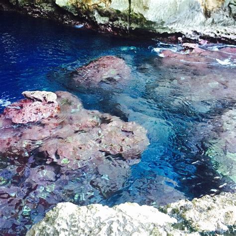 THE GROTTO (2025) All You Need to Know BEFORE You Go (with Photos ...