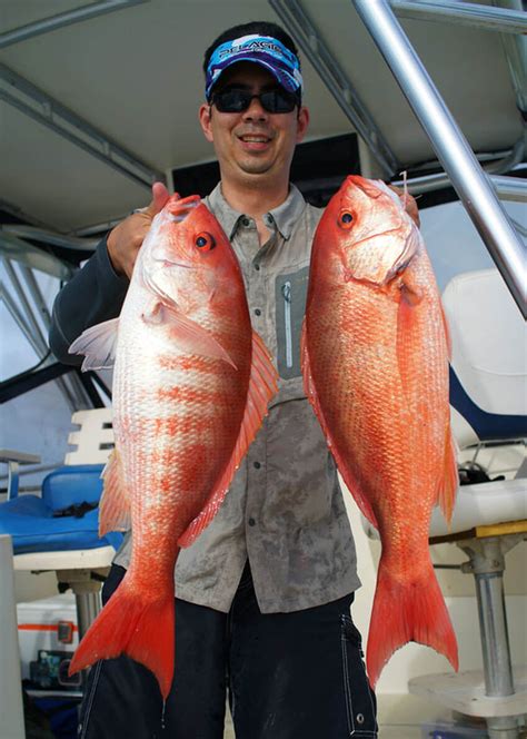 Image result for How to Catch Red Snapper