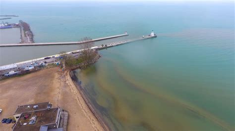 Khám phá Hồ ô nhiễm nhất ở Michigan (Và những gì sống trong đó) ⋆ Cá cảnh mini