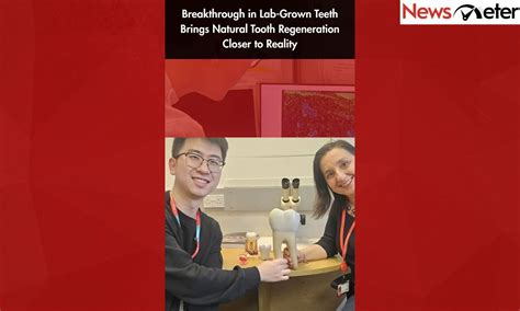 Breakthrough in Lab-Grown Teeth Brings Natural Tooth Regeneration ...