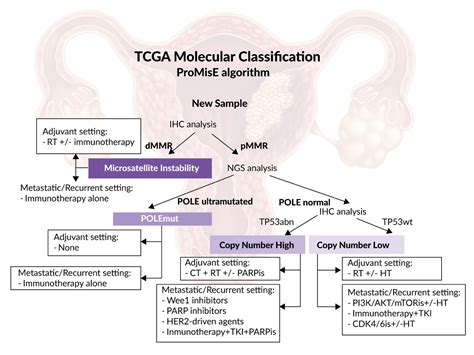 Endometrial Carcinoma ASCO 2024: New Insights Into Endometrial Cancer