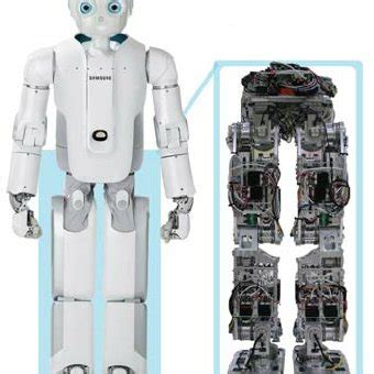 Box Robot Short Limbs 的图像结果